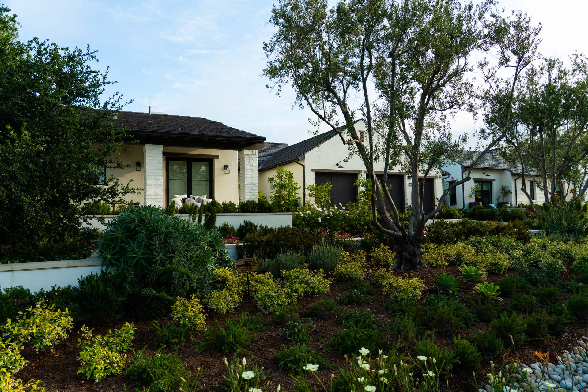 Catalina Vista Project - Landscape Architecture - The Burns Company